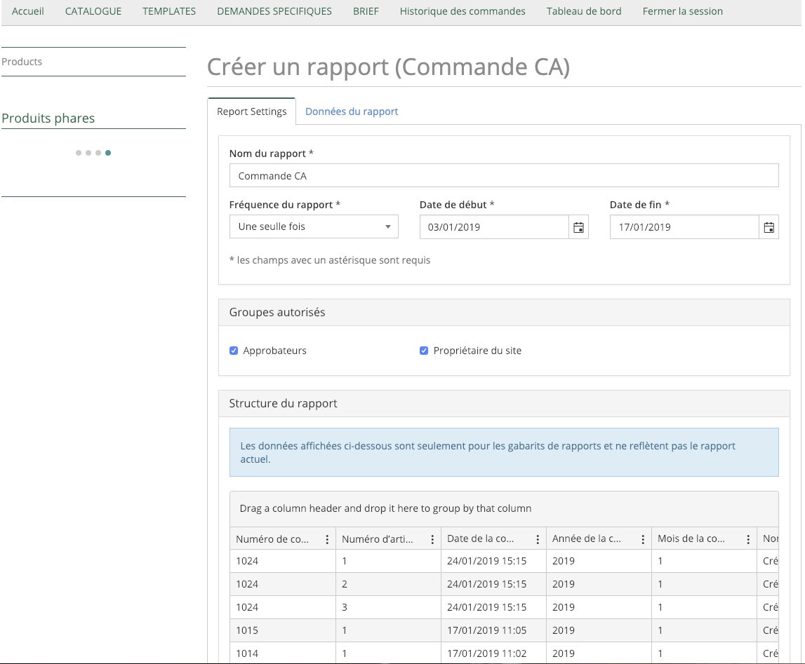 Création d'un rapport personnalisé